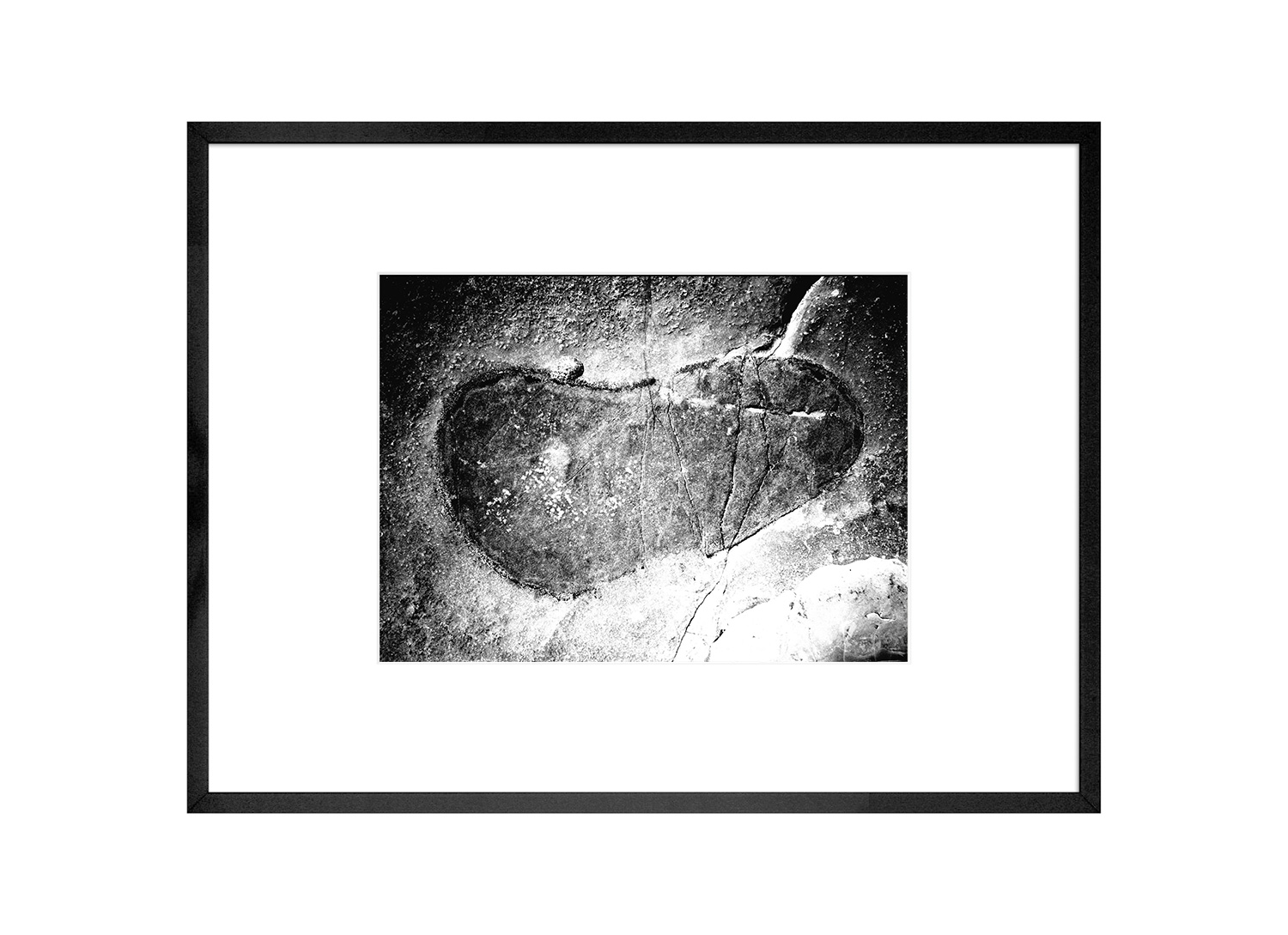 Photo encadrée de l'exposition Graphite