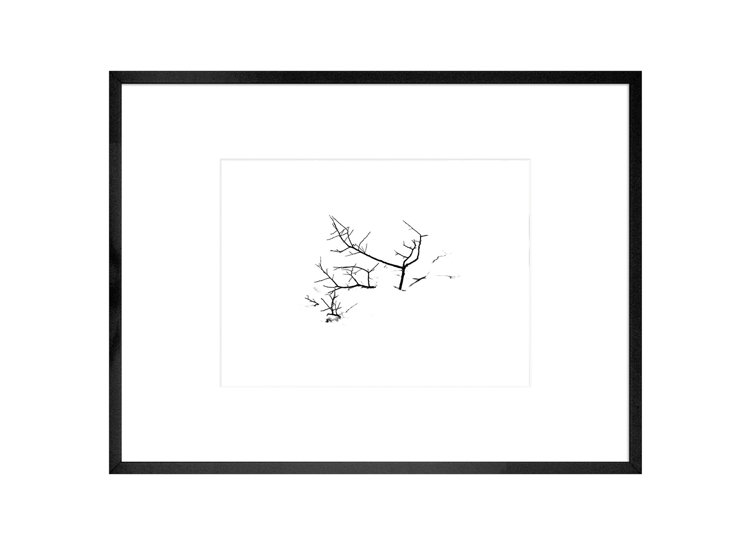 Photo encadrée de l'exposition Graphite